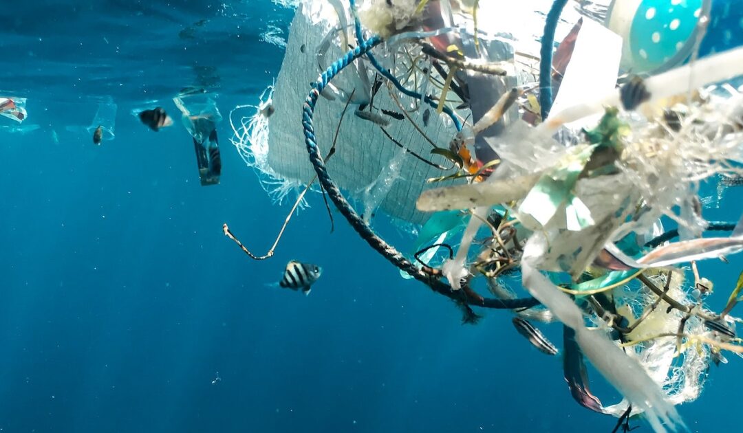 Global Plastic Treaty Negotiations: Key Insights for the Furnishing Industry